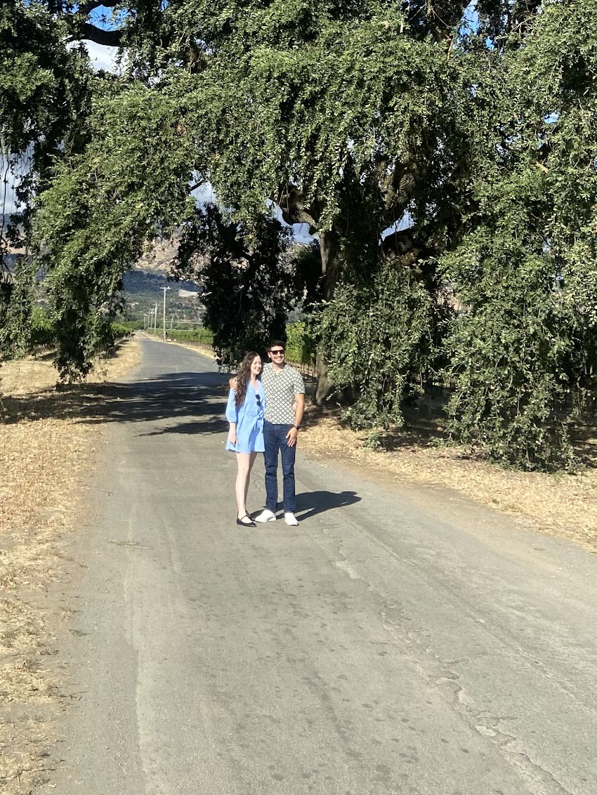 Under a great old oak on a vineyard road, August 2024